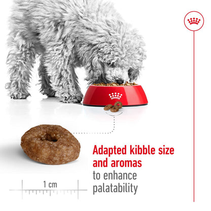 Royal Canin Mini Ageing 12+ Dry Dog Food