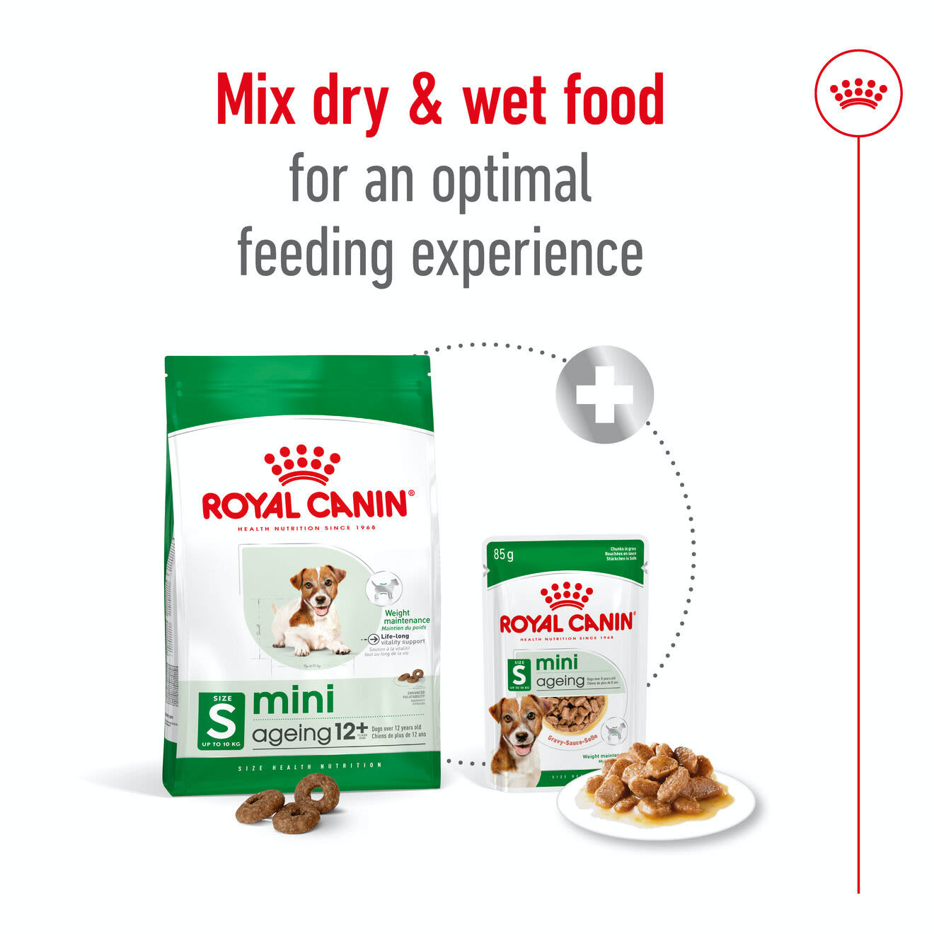 Royal Canin Mini Ageing 12+ Dry Dog Food