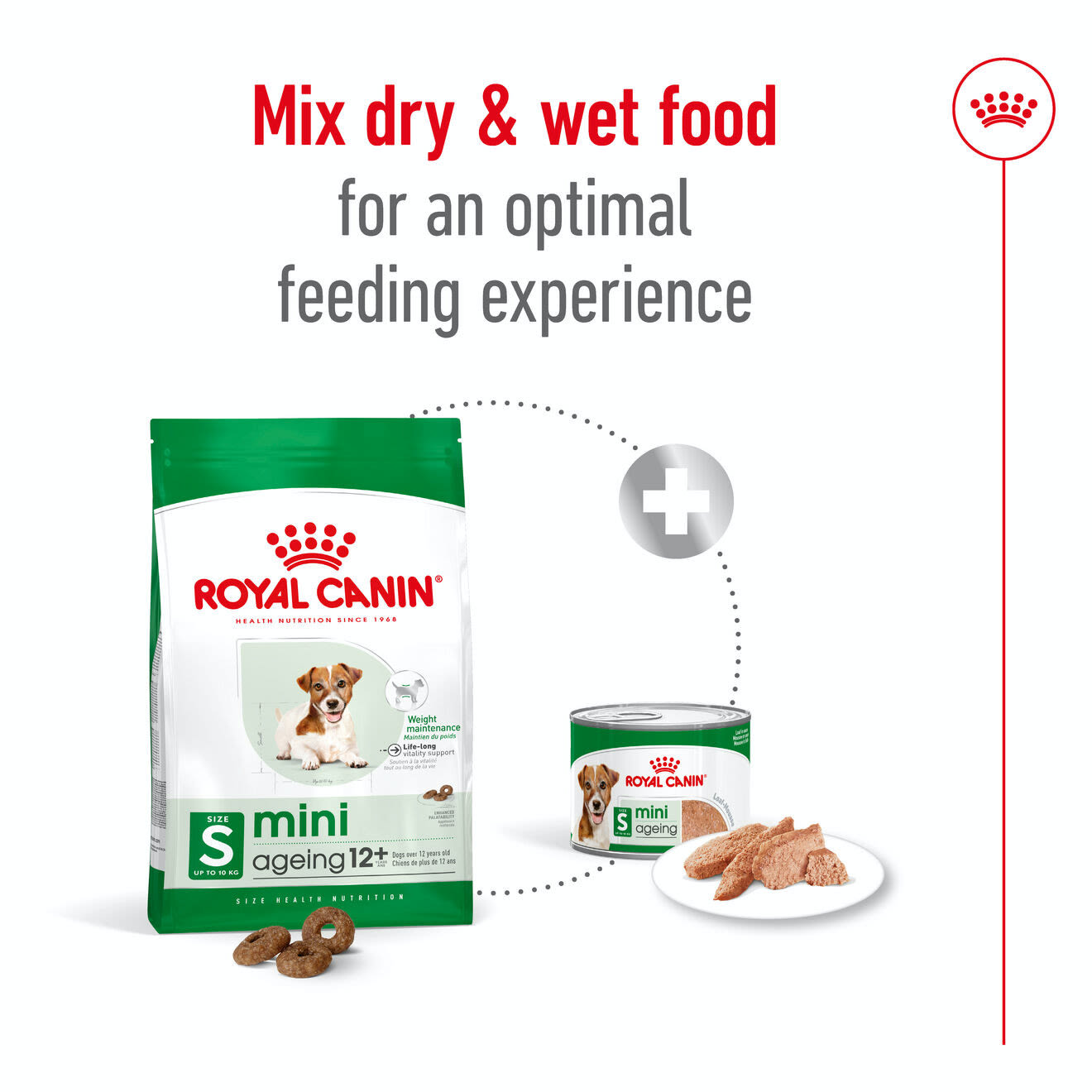 Royal Canin Mini Ageing 12+ Dry Dog Food
