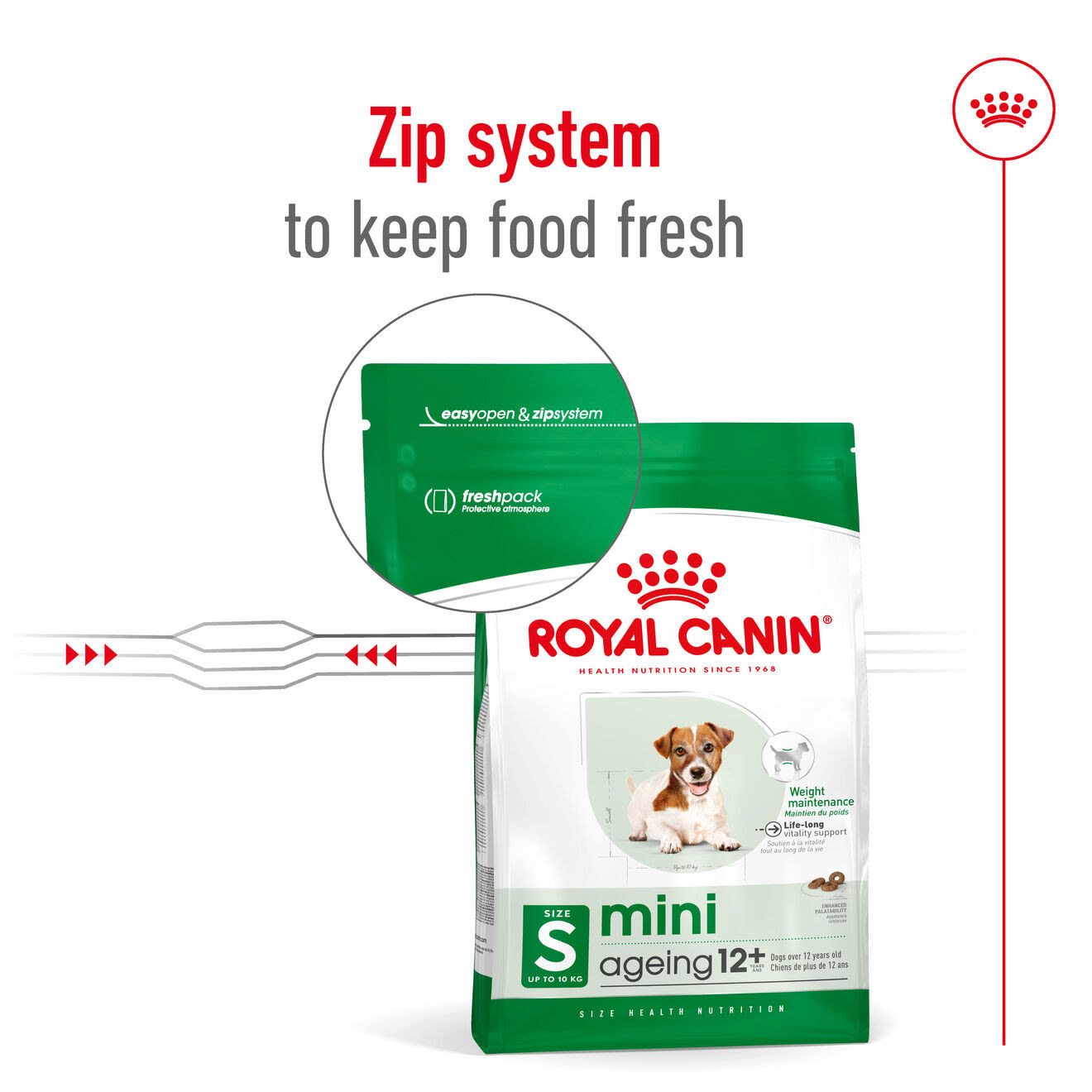 Royal Canin Mini Ageing 12+ Dry Dog Food