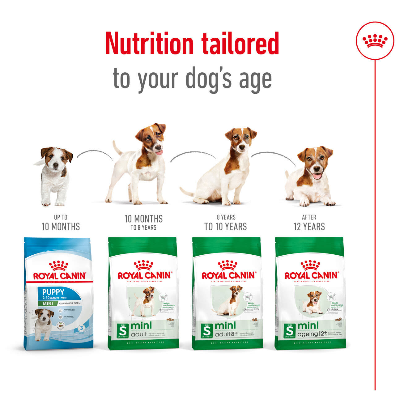 Royal Canin Mini Ageing 12+ Dry Dog Food