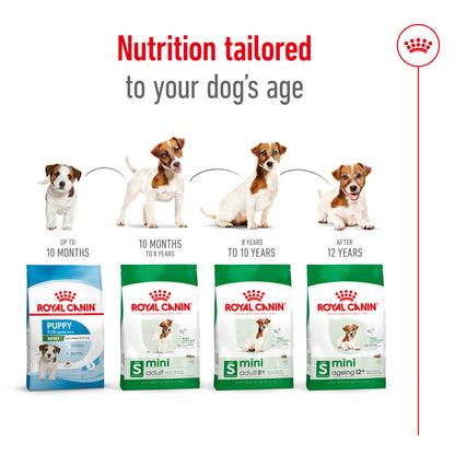 Royal Canin Mini Ageing 12+ Dry Dog Food