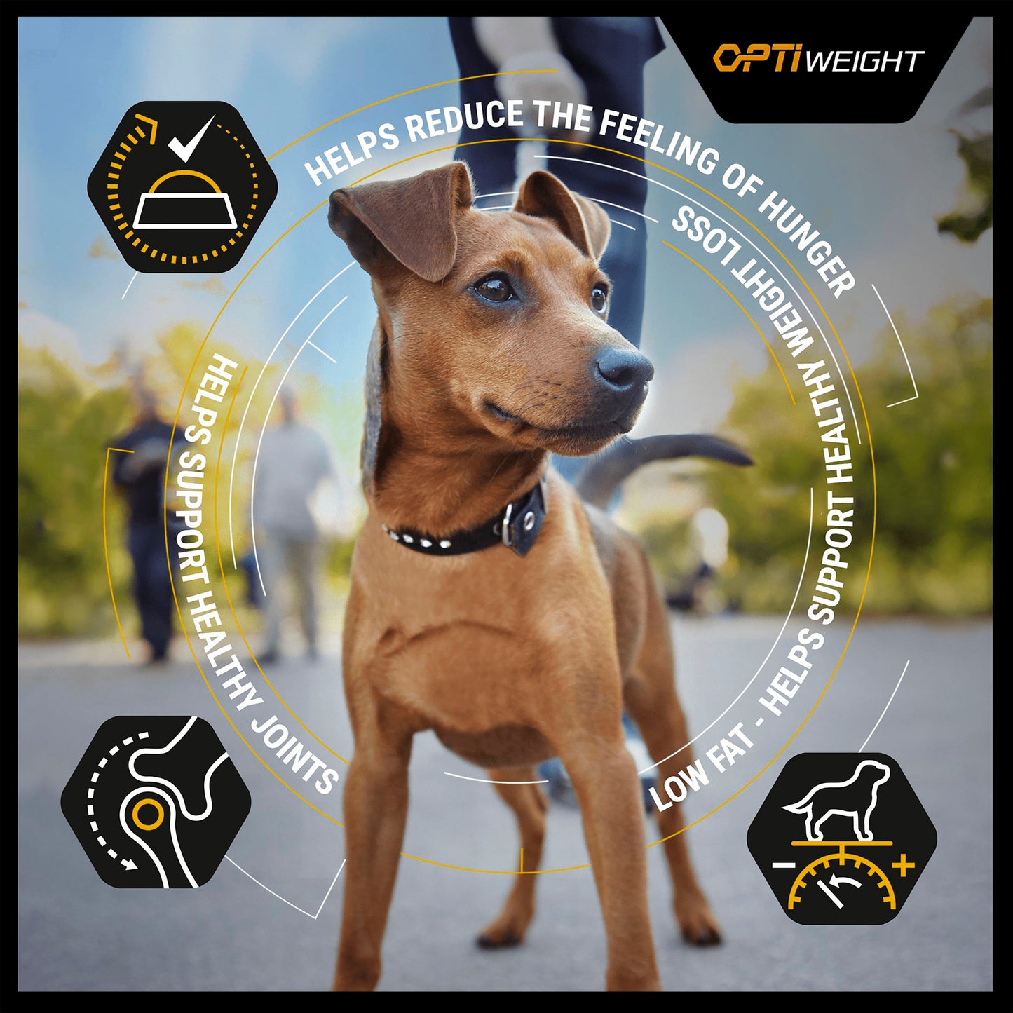 Purina Pro Plan Opti Weight Light/Sterilised Adult Dry Dog Food - Chicken