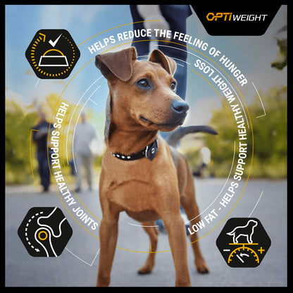 Purina Pro Plan Opti Weight Light/Sterilised Adult Dry Dog Food - Chicken