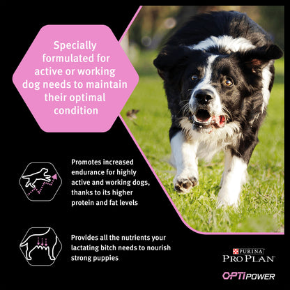 Purina Pro Plan Opti Power Performance Adult Dry Dog Food - Chicken