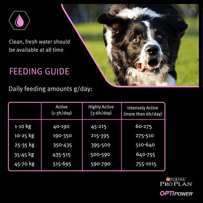 Purina Pro Plan Opti Power Performance Adult Dry Dog Food - Chicken