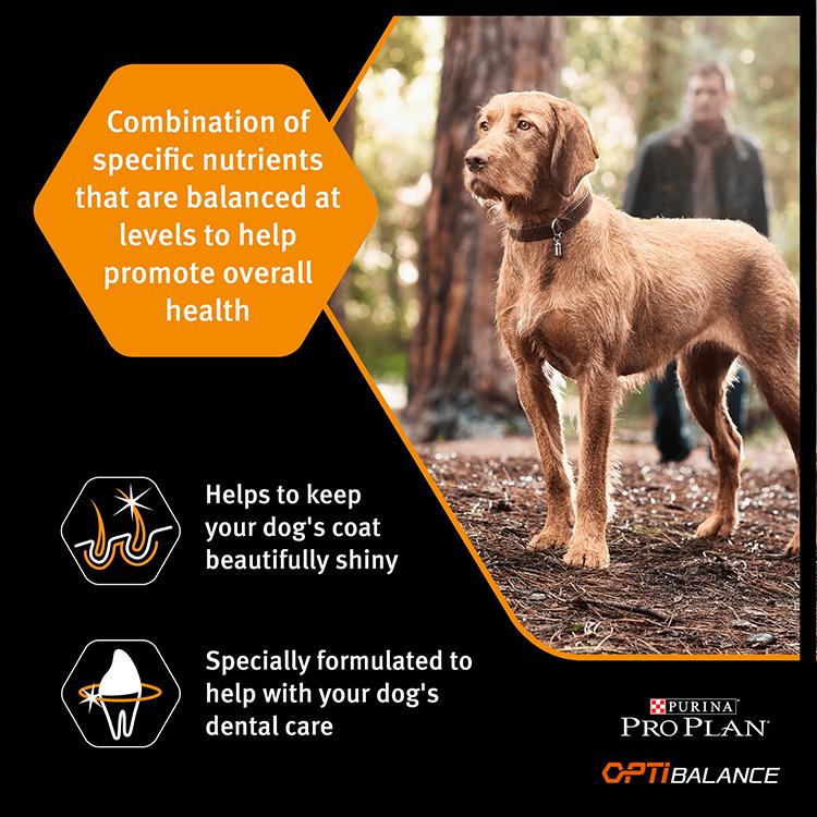 Purina PRO PLAN Large Athletic Everyday Nutrition Dry Dog Food - Chicken