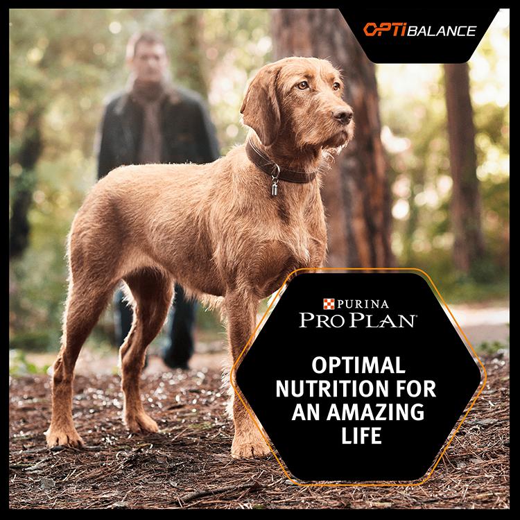 Purina PRO PLAN Large Athletic Everyday Nutrition Dry Dog Food - Chicken