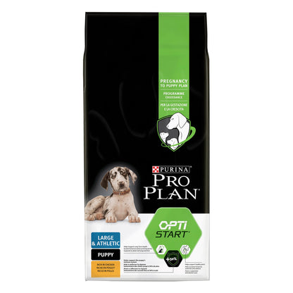 Purina Pro Plan Croquette Athletic Large Puppy Dry Dog Food - Chicken & Rice