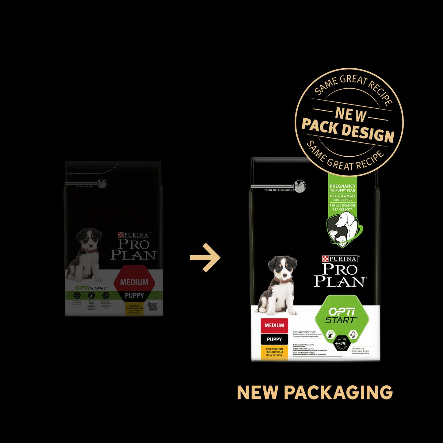 Purina Pro Plan Croquette Athletic Large Puppy Dry Dog Food - Chicken & Rice