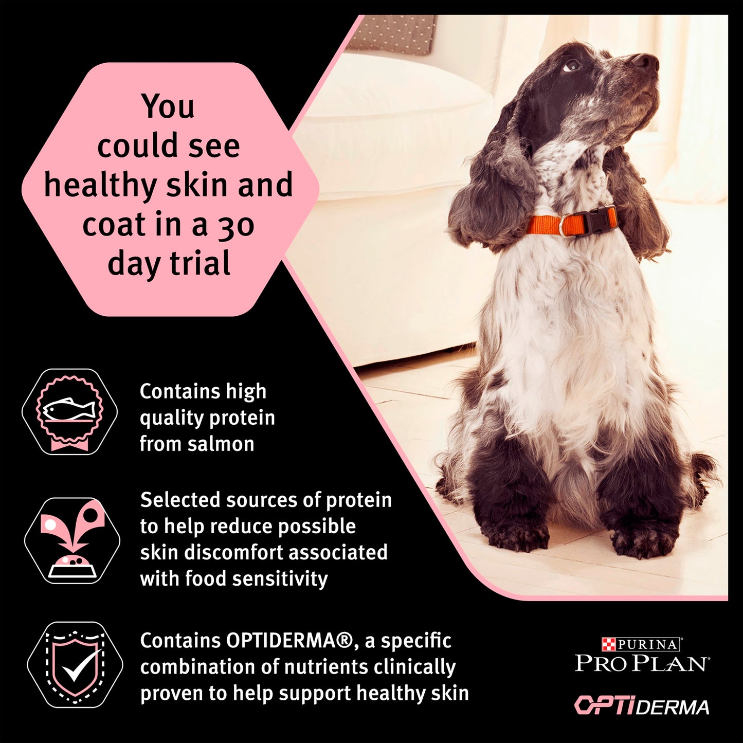 Purina Pro Plan Opti Derma Sensitive Skin Medium Adult Dry Dog Food - Salmon