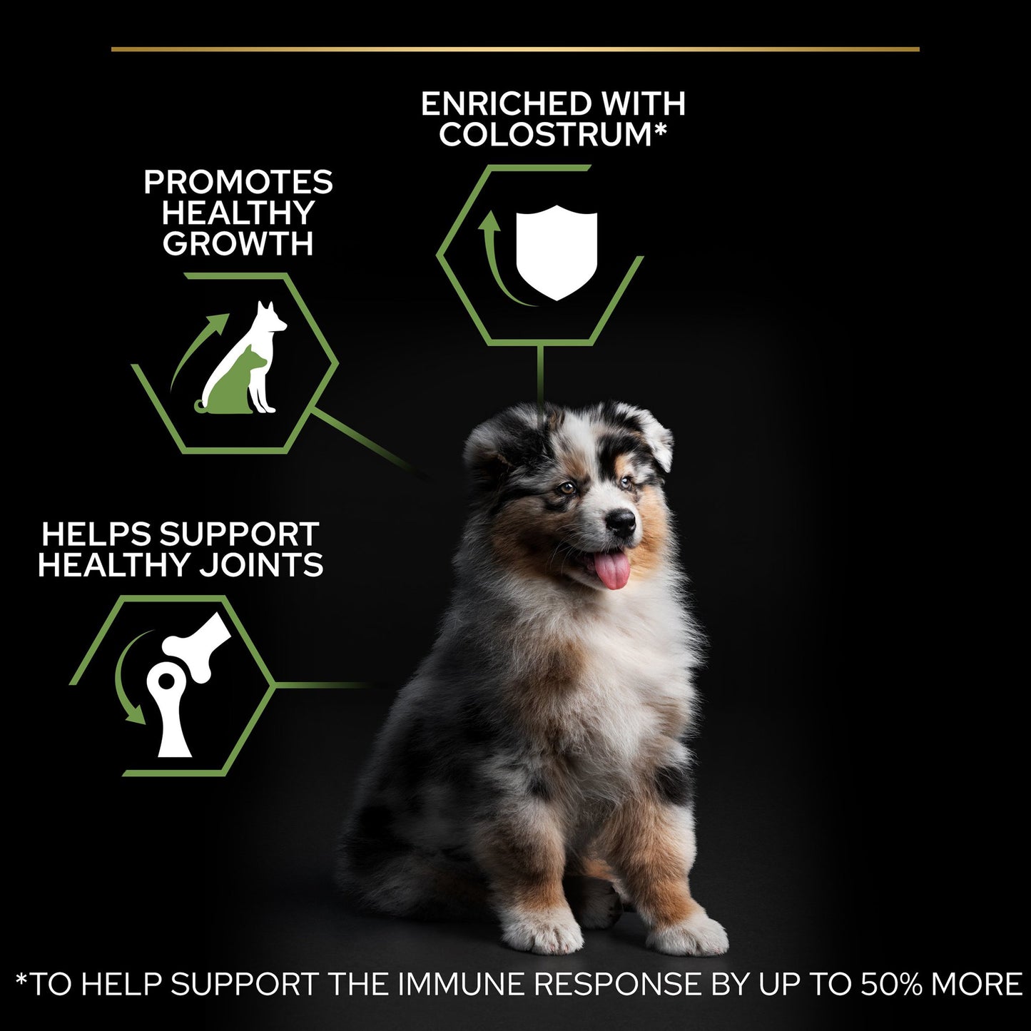 Purina Pro Plan Healthy Start Medium Puppy Dry Dog Food - Chicken