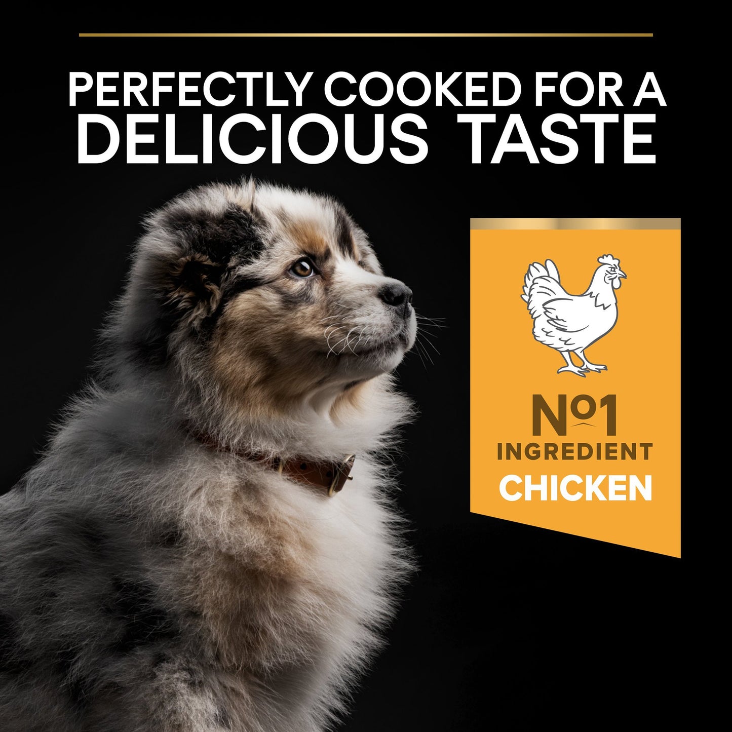 Purina Pro Plan Healthy Start Medium Puppy Dry Dog Food - Chicken