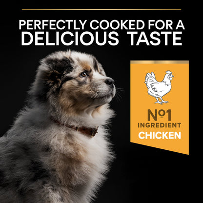 Purina Pro Plan Healthy Start Medium Puppy Dry Dog Food - Chicken