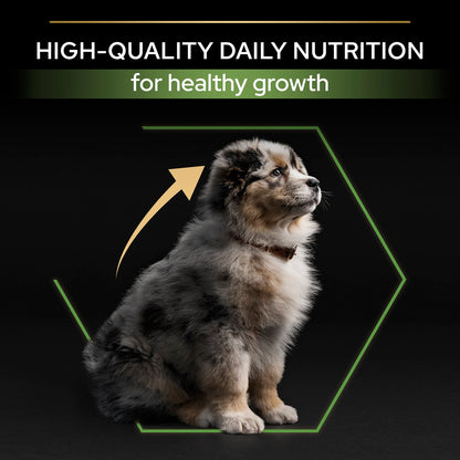 Purina Pro Plan Healthy Start Medium Puppy Dry Dog Food - Chicken