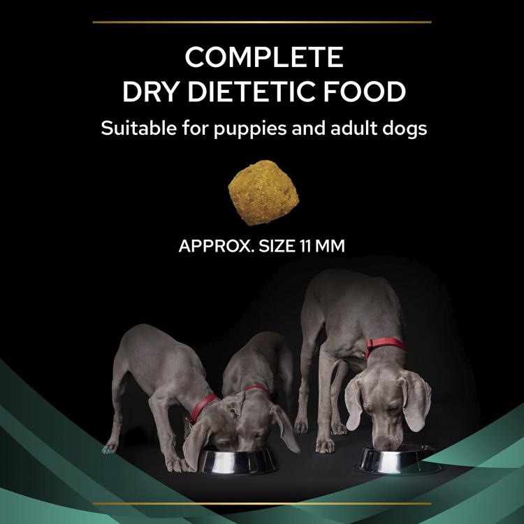 Purina PRO PLAN Veterinary Diets EN Gastrointestinal Dry Dog Food
