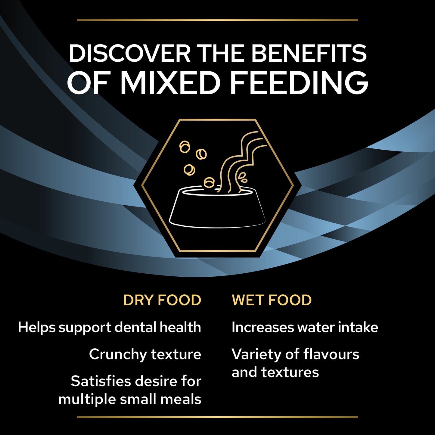 Purina Pro Plan Veterinary Diets CN Convalescence Wet Food Cats and Dogs