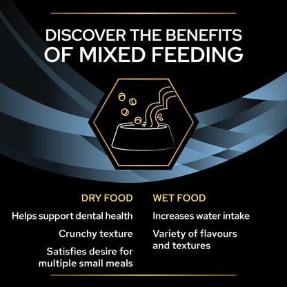 Purina Pro Plan Veterinary Diets CN Convalescence Wet Food Cats and Dogs