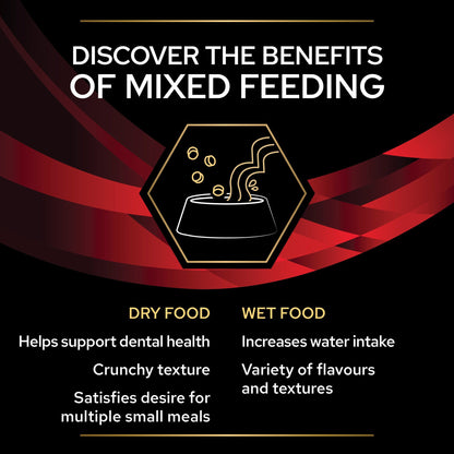 Pro Plan Veterinary Diets DM Diabetes Management Adult Wet Cat Food - Chicken