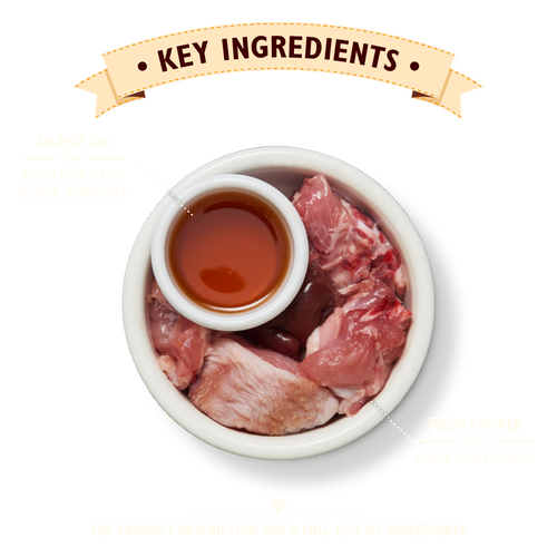 Lily's Kitchen Chicken Pate Wet Cat Food