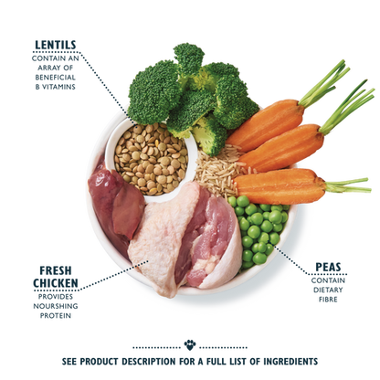 Lily's Kitchen Organic Adult Dry Dog Food - Chicken Bake with Vegetables & Herbs