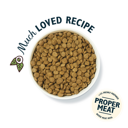 Lily's Kitchen Organic Adult Dry Dog Food - Chicken Bake with Vegetables & Herbs