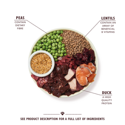 Lily's Kitchen Wild Woodland Walk Adult Dry Dog Food