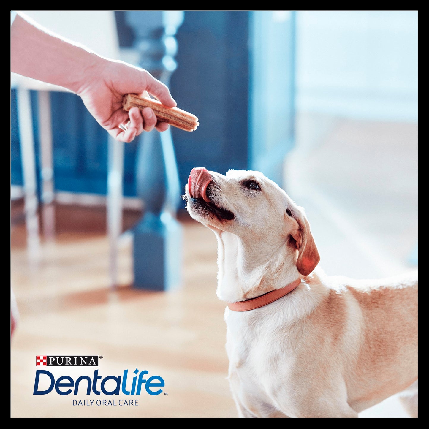 Purina Dentalife Daily Larger Dog Chews Treat
