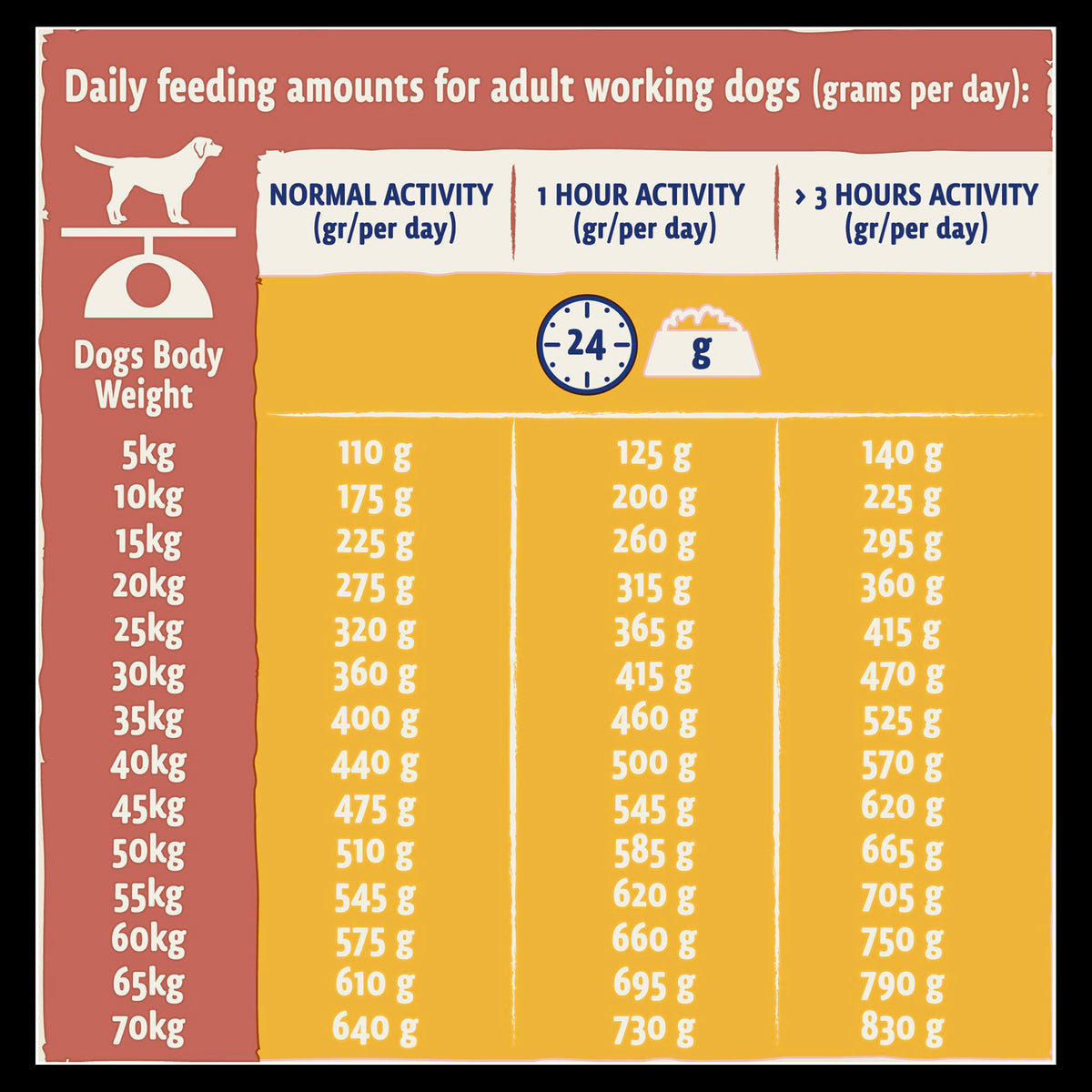 How Much to Feed a Dog: Ultimate Feeding Guide