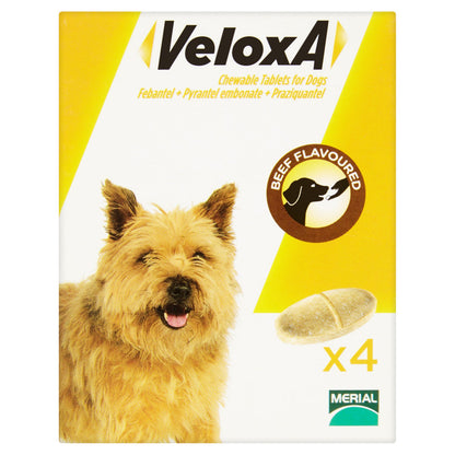 Veloxa Chewable Worming Tablets for Dogs (1 tablet per 10kg)