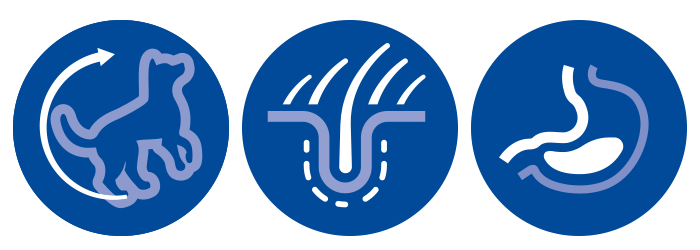 Hill`s Science Plan Canine 7+ Youthful Vitality Medium