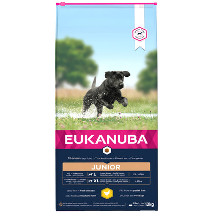 Eukanuba Developing Junior Large Breed