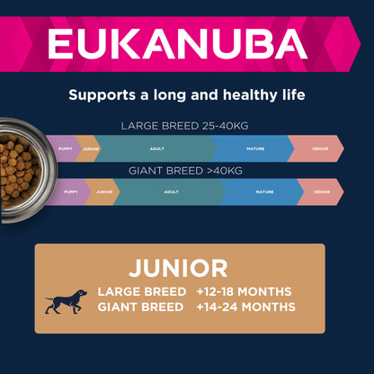 Eukanuba Developing Junior Large Breed