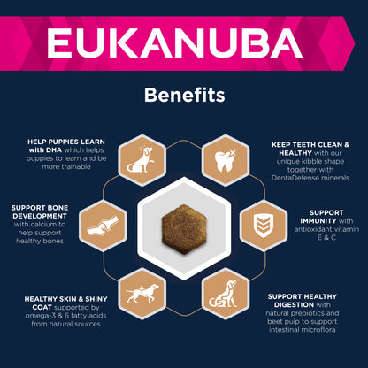 Eukanuba Developing Junior Large Breed