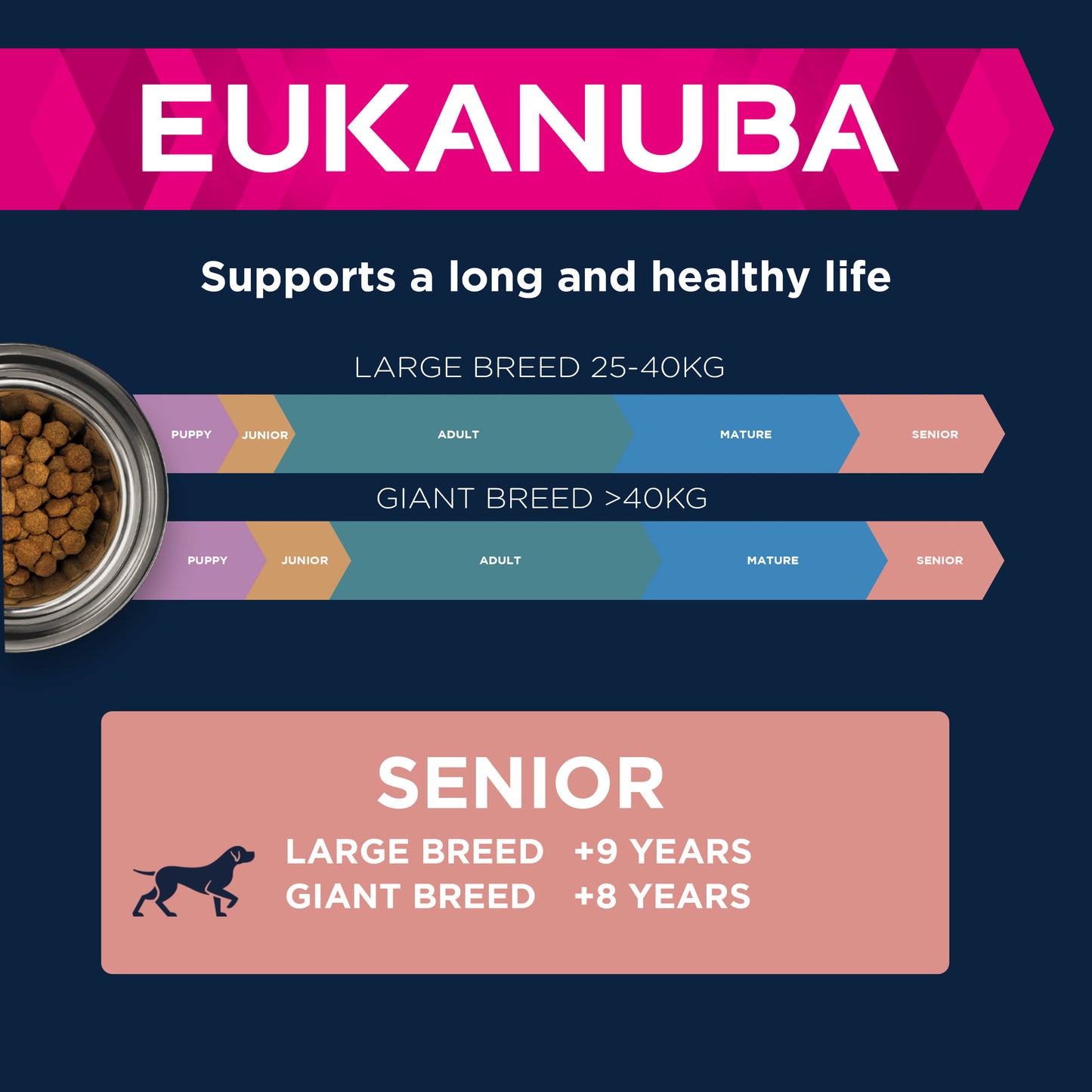 Eukanuba Caring Senior Large Breed Dry Dog Food - Chicken