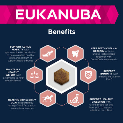 Eukanuba Caring Senior Large Breed Dry Dog Food - Chicken