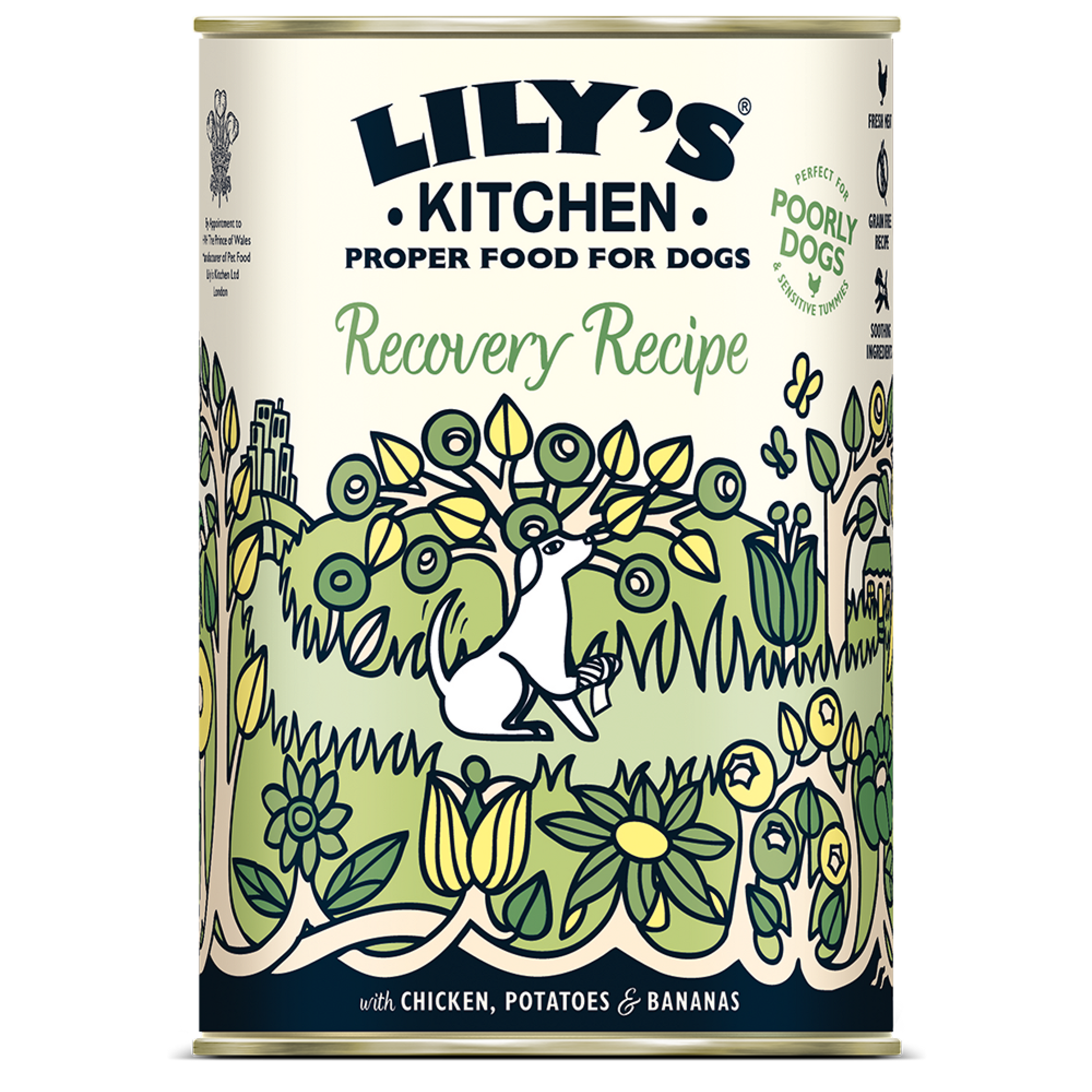 Lily's Kitchen Lily'S Kitchen Recovery Bananas Chicken Adult Wet Dog Food pet food packaging