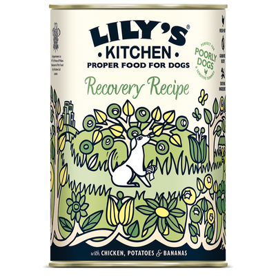 Lily's Kitchen Lily'S Kitchen Recovery Recipe Chicken Adult pet food packaging