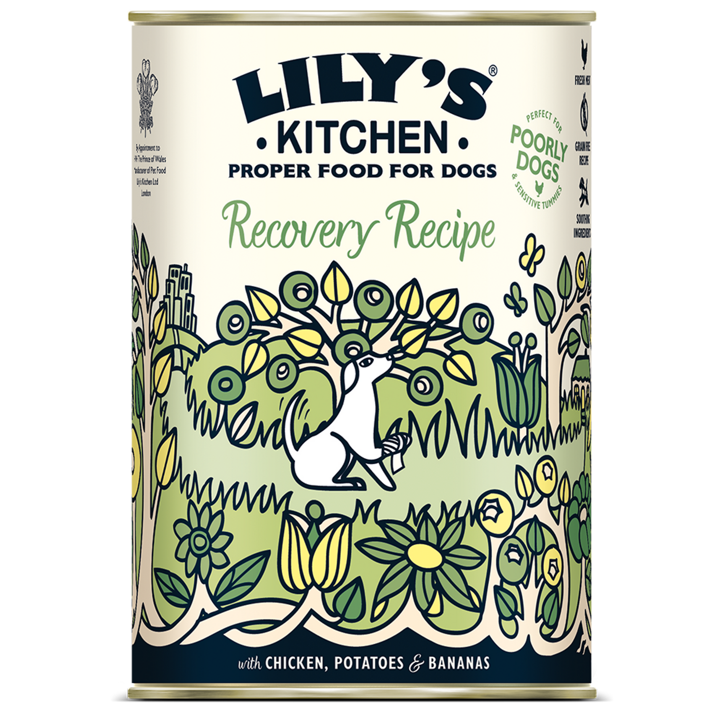 Lily's Kitchen Recovery Recipe Wet Dog Food - Chicken, Potatoes & Bananas