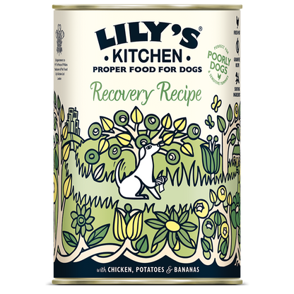Lily's Kitchen Recovery Recipe Wet Dog Food - Chicken, Potatoes & Bananas