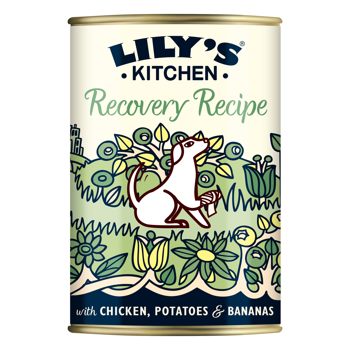 Lily's Kitchen Recovery Recipe Wet Dog Food - Chicken, Potatoes & Bananas