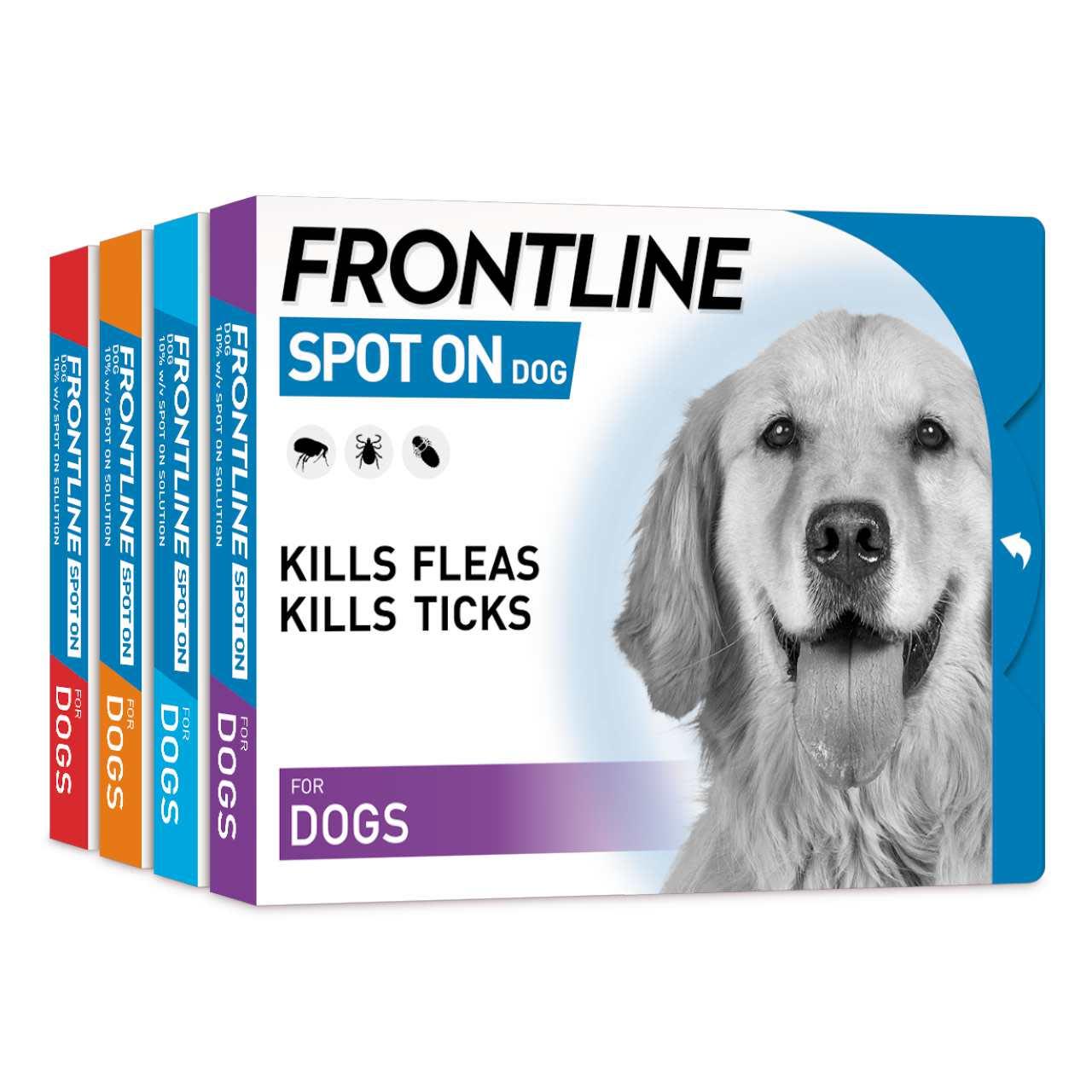 Frontline Spot On Flea & Tick Treatment for Large Dogs (20-40kg)