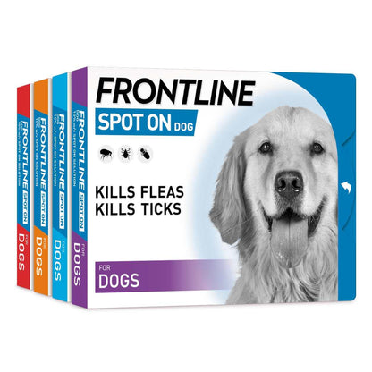 Frontline Spot On Flea & Tick Treatment for Large Dogs (20-40kg)