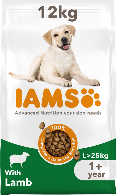 IAMS Iams Large Lamb Adult Dry Dog Food pet food packaging