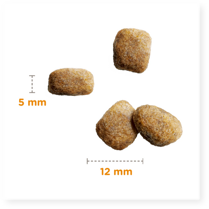 Iams Vitality Senior Small/Medium Breed Dry Dog Food - Chicken