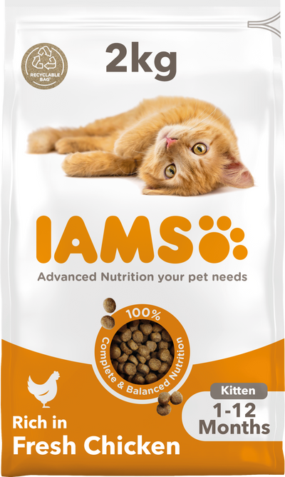 Iams Iams Chicken Kitten Dry Cat Food pet food packaging