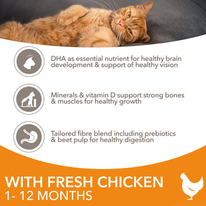 IAMS for Vitality Kitten Food with Chicken