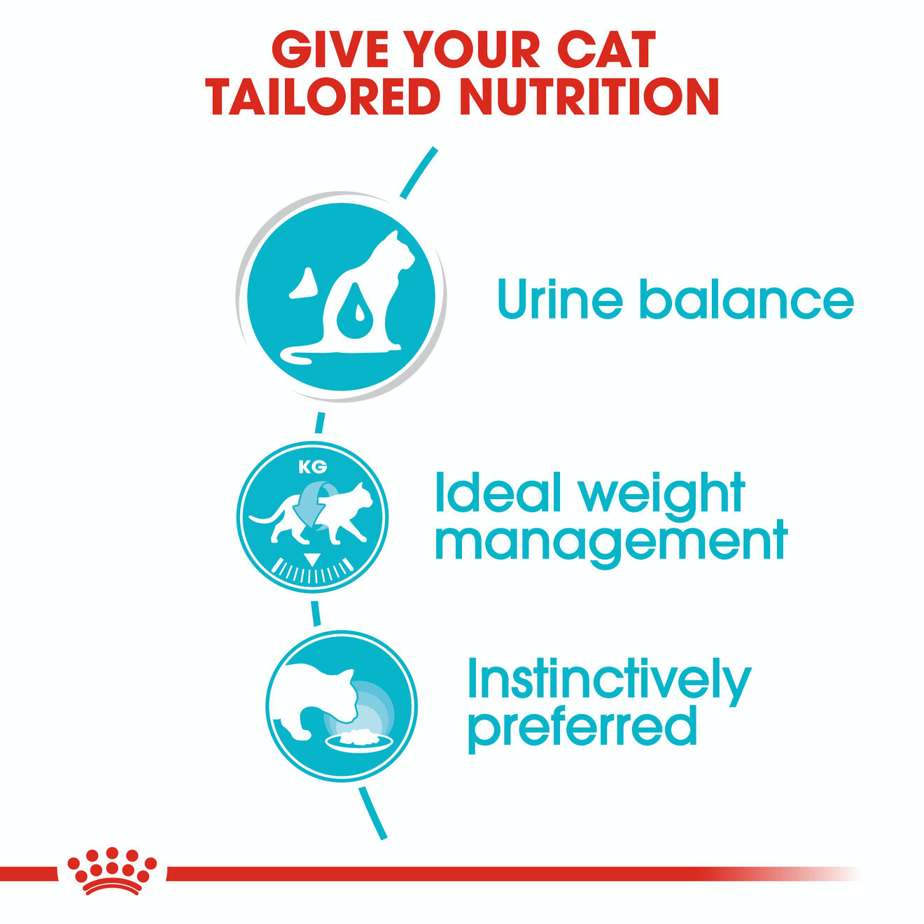 Royal Canin Urinary Care Adult Wet Cat Food - Gravy