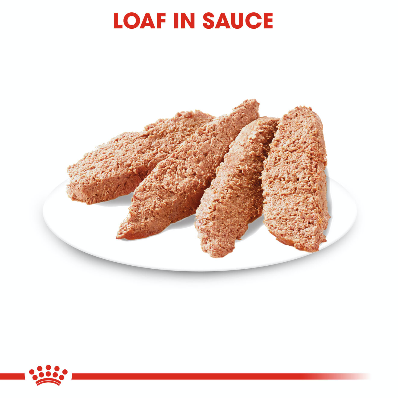 Royal Canin Dermacomfort Care Adult Wet Dog Food