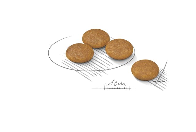 Royal Canin Mini Dermacomfort Adult Dry Dog Food